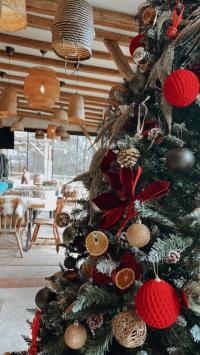 restoran savasava nova godina