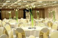 zijin hotel belgrade nova godina