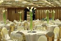 zijin hotel belgrade nova godina