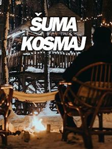 Šuma kosmaj nova godina